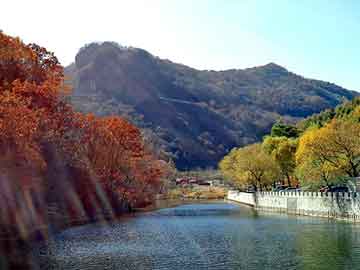 管家婆黑白马报图库，塑胶地砖